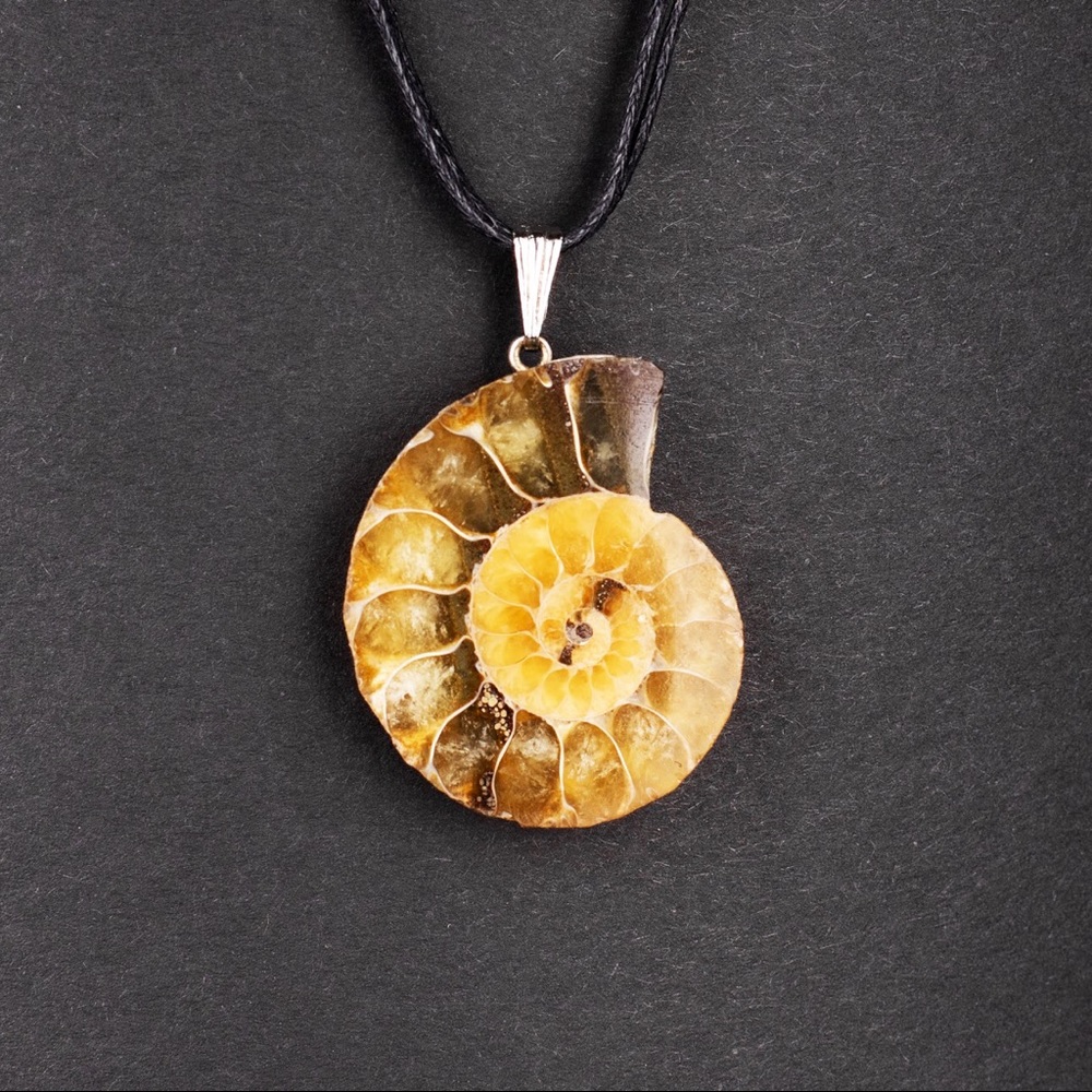 Nautilus Ammonite Pendant